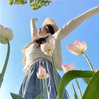 歌舞伎町夏洛克